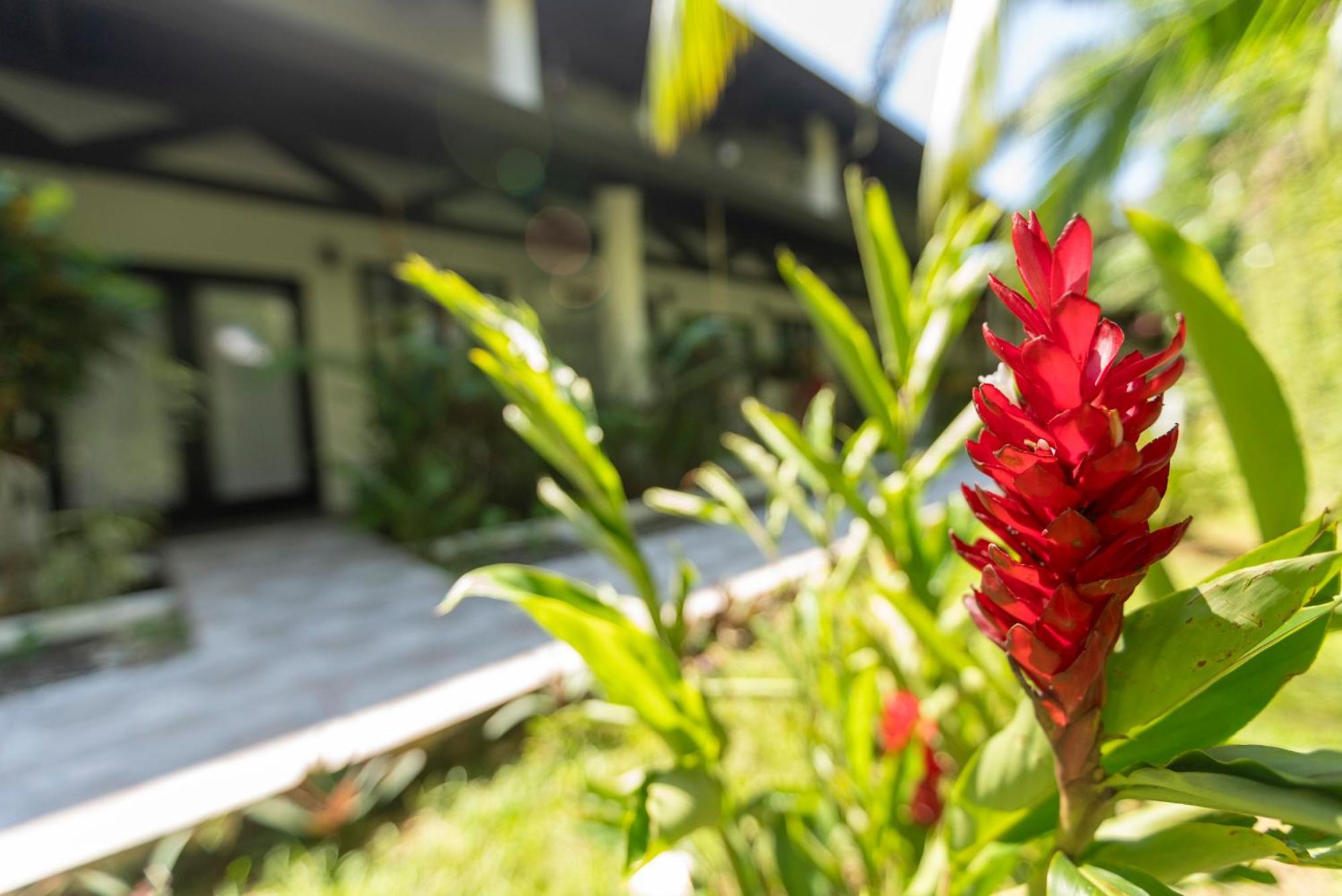 Condiminium Villas Mymosa มานูเอล อันโตนิโอ ภายนอก รูปภาพ